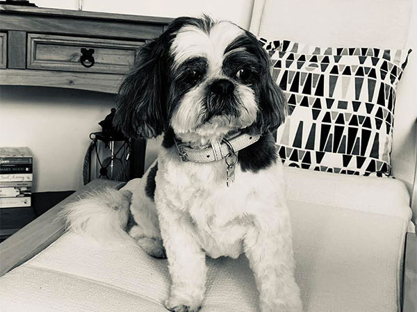 Finca Flor is named after Flower, our beautiful dog